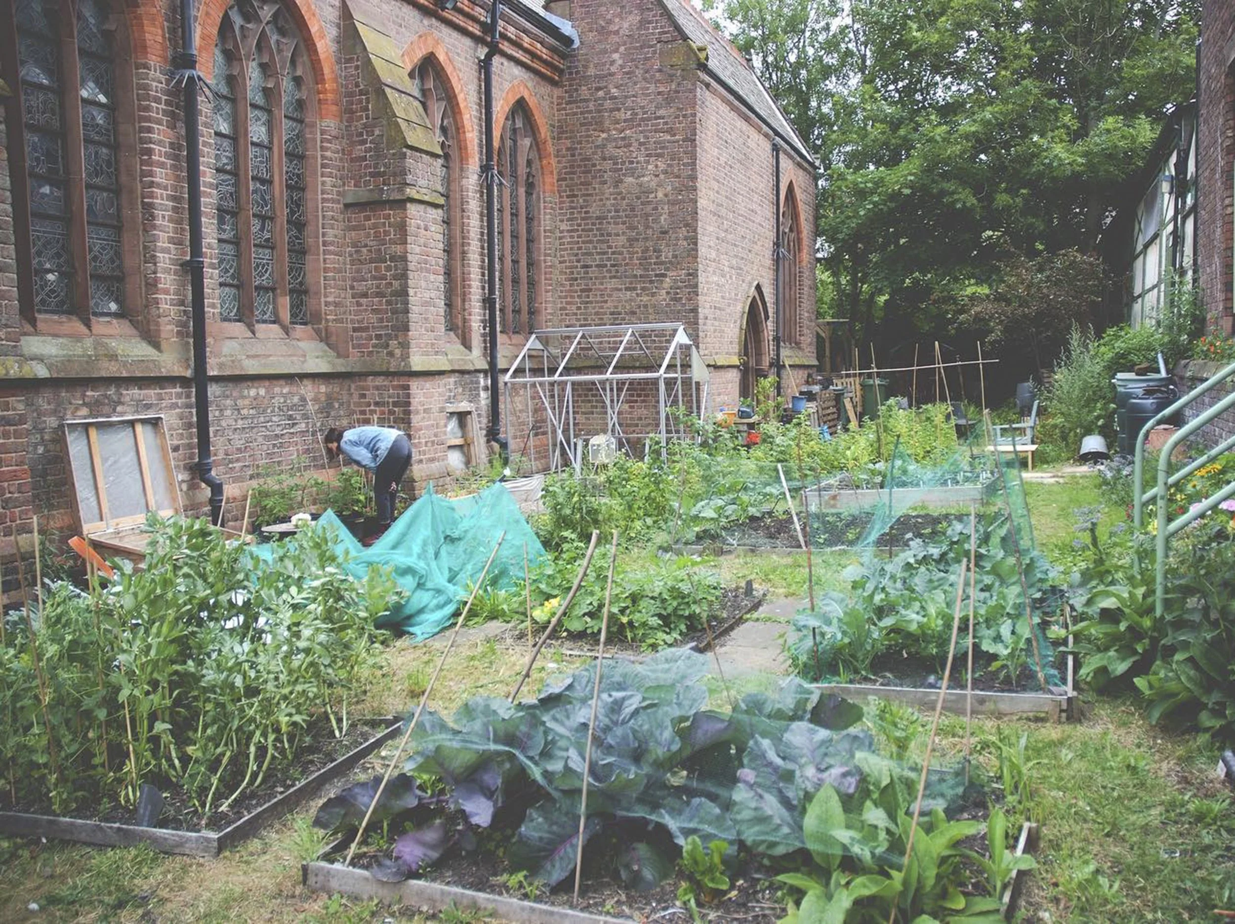 Growing Stories – Hope Community Garden