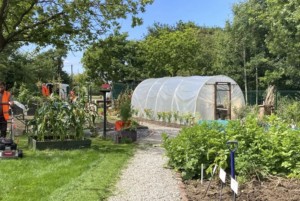 Growing Stories – Prenton Community Garden
