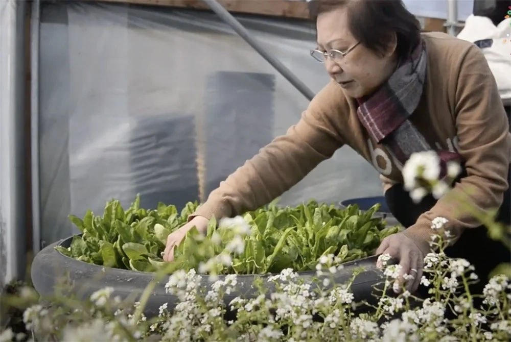 Why Volunteer? Nancy’s Story