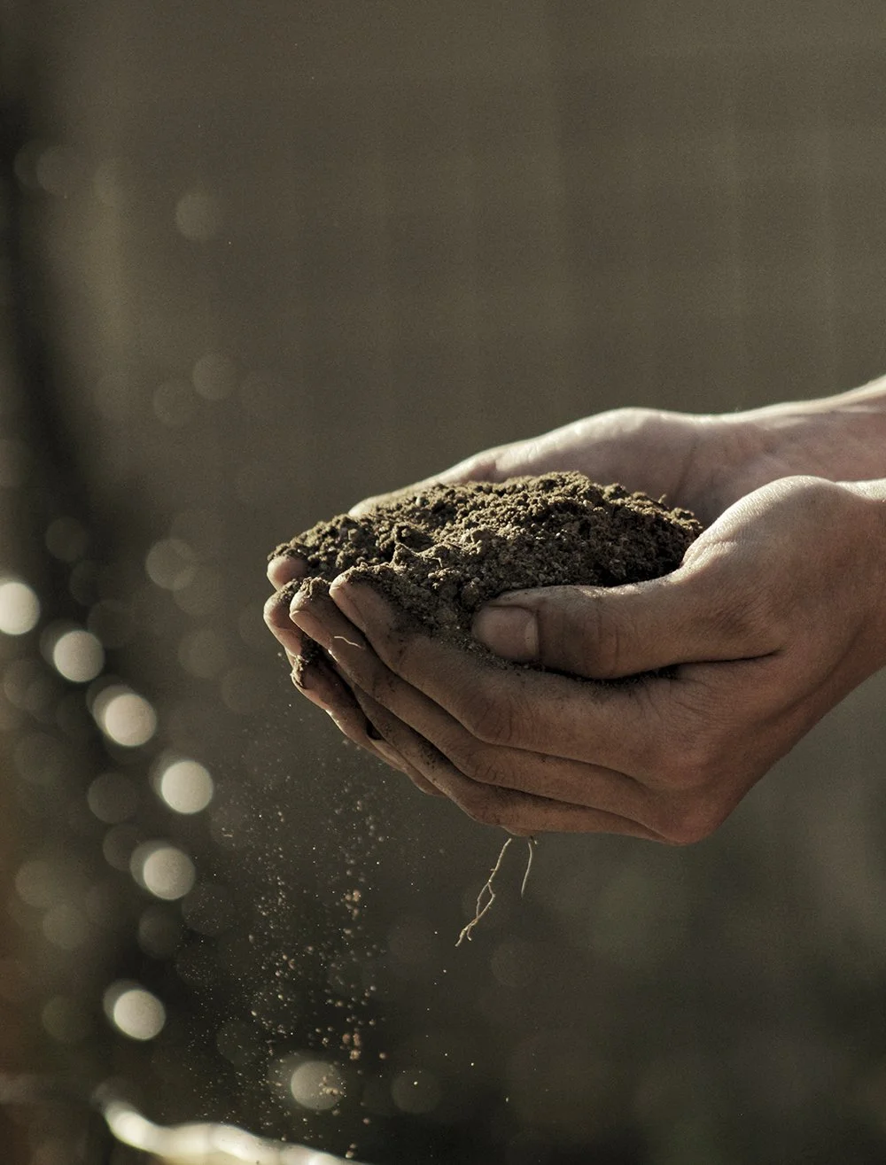 To Dig or Not To Dig?